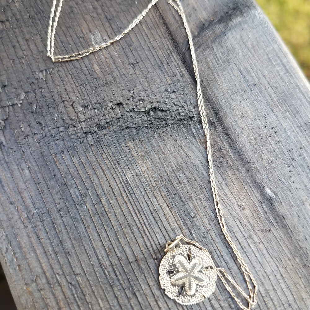 14k sand dollar necklace